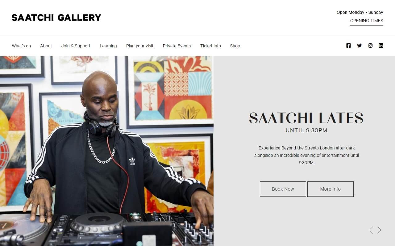 Saatchi Gallery Website