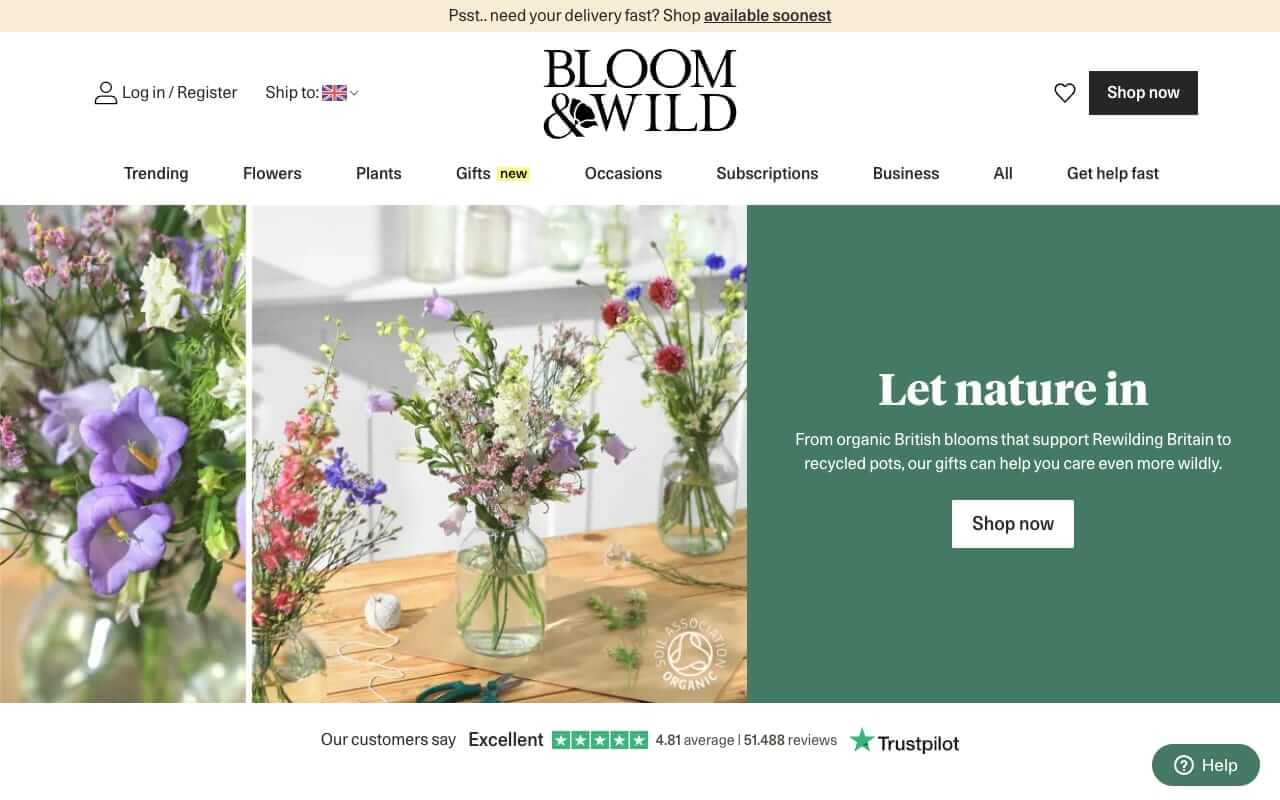 Bloom & Wild Website